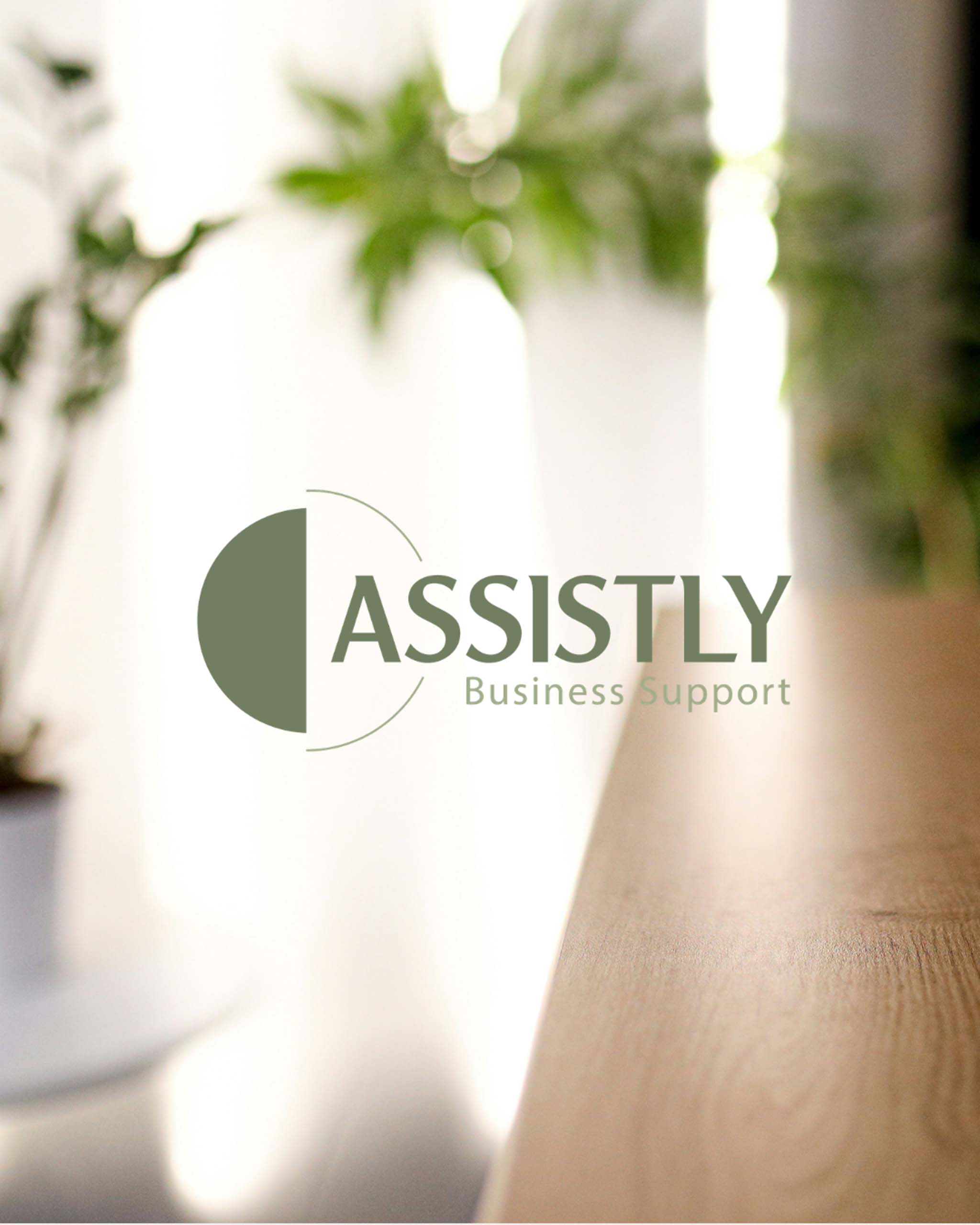 Assistly Business Support